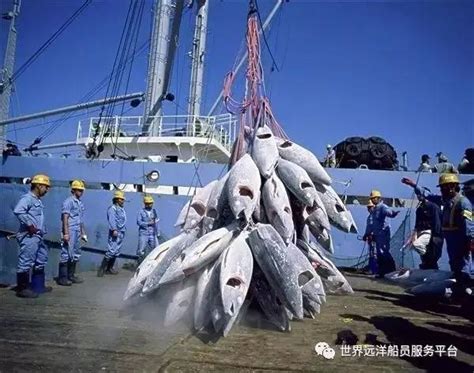 【日本的捕鱼量位居世界第______位.拥有庞大的远洋捕捞船队...