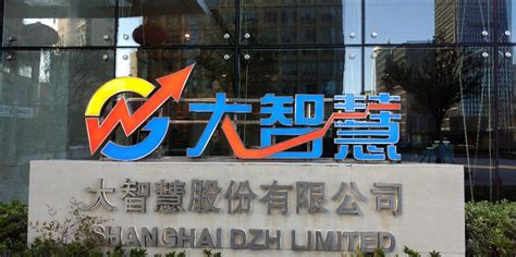 上海大智慧股份有限公司被审计单位基本情况和主要的会计问题?
