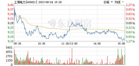 上海电力股票