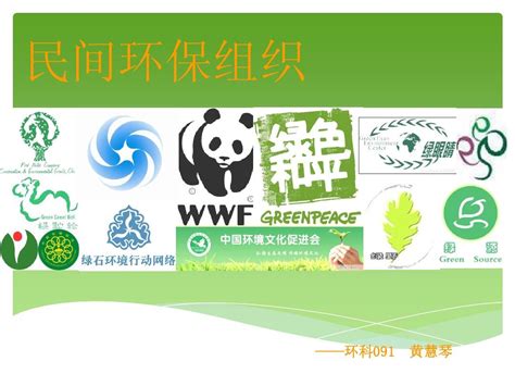 中国环保民间组织的国内组织
