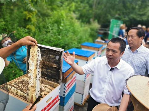 中国的养蜂业后继有人吗?