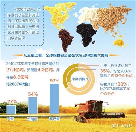 中国目前由外国进口粮食大概是多少?占国人需食粮量的百分比...