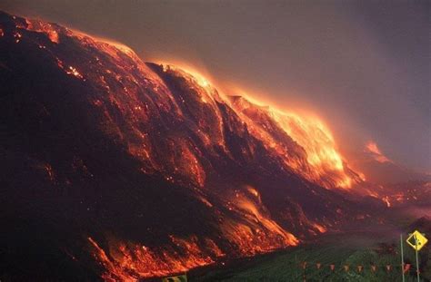 为什么澳洲大火，着了4个月，都扑不灭？