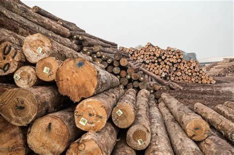 台湾木材储量是多少立方米?