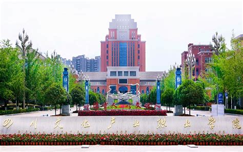 四川文化产业职业学院代码是什么？