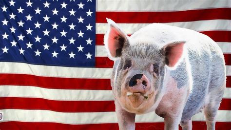大国风采!中国向美国下近6个月以来最大猪肉订单，高达4万余...