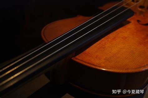 小提琴会很难学吗？