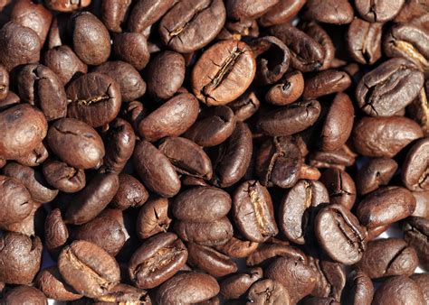 巴西咖啡豆主产区遭冻害，咖啡价格是否会因此受影响？