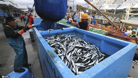 日本农业生产水平高,最大渔场:日本渔业发达,附近海... 