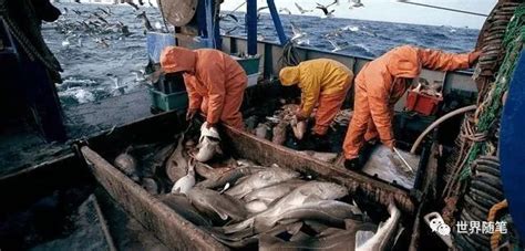 日本每年海产品捕获量是多少? - 雯大大哒 的回答 - 懂得