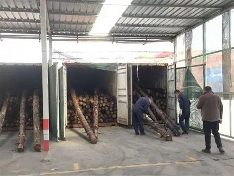 木材采运业目前发展状况怎么样?