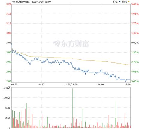 桂东电力股票行情？桂东电力股上市价格？桂东电力要大跌了吗？