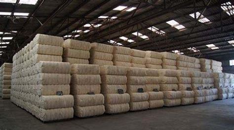 棉花替代性产品棉纱[1]进口120.8万吨
