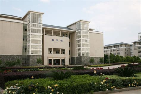 武汉学院是几本