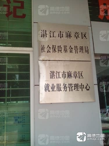 湛江市社会保险电话