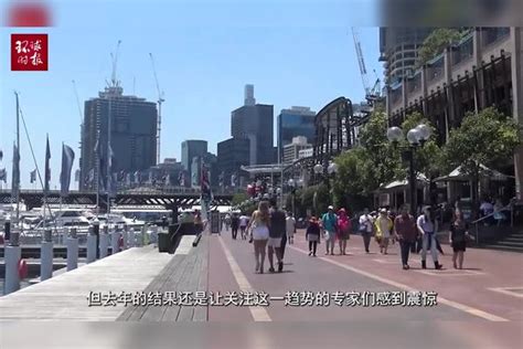 澳媒：中国投资者迅速放弃澳大利亚图片