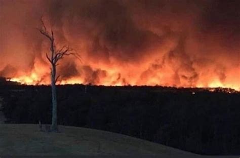澳洲大火为什么烧了几个月？