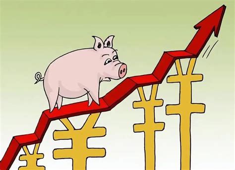 猪价持续上升，未来是继续上涨还是已见顶？