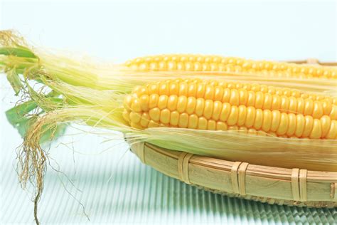 玉米能经常吃吗