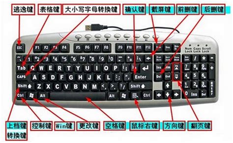 现代手机可以通过使用特定的键盘功能或者字母表中的符号来输入次方