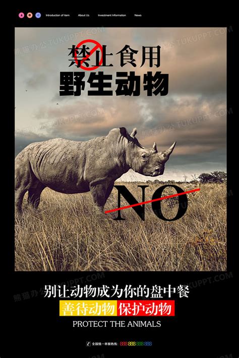 禁止食用野生动物清单