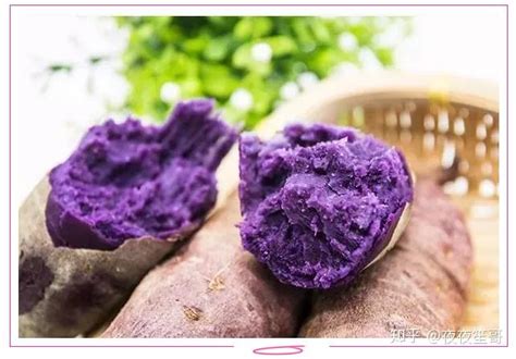 紫薯和红薯有什么区别？本属于不同品种，用途和价值有差异
