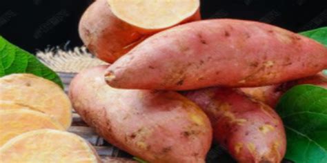 红薯是何时引进中国的？