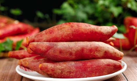 红薯蒸多久能熟