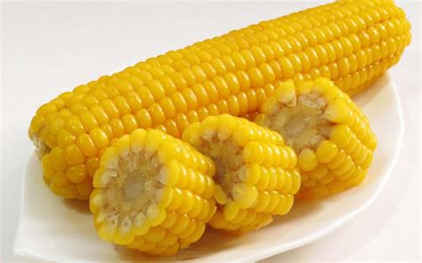 经常吃玉米好不好？