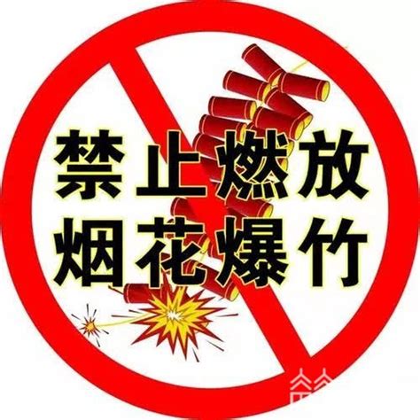 网络宣传推广禁止烟花爆竹
