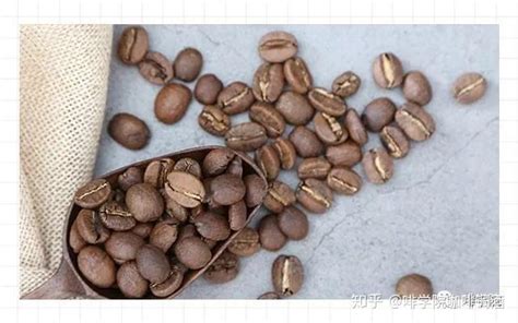 美国回中国可以带咖啡豆吗？