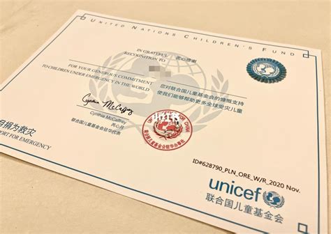 联合国官网儿童基金会怎么捐款