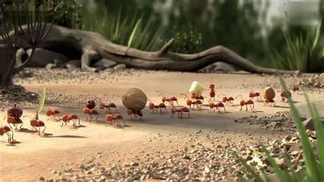 蚂蚁搬家是怎么服务的？