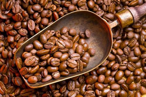 谁知道咖啡豆的进口关税税率是多少?-九州醉餐饮网