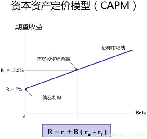 谁能用通俗易懂的语言给我讲讲CAPM资本资产定价模型啊