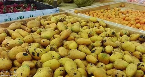 超市里烂掉的的水果，最后是怎么处理的？