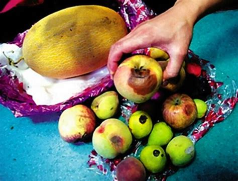 超市里那些烂掉的或者是不新鲜的水果，是怎么被处理的？