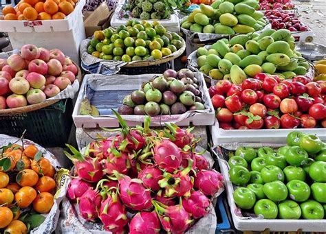 越南水果蔬菜的出口额大吗，有哪些数据体现?