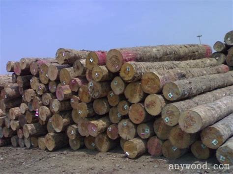 进口木材的利润大概能达到多少?相对于国产木材，哪个利润更高?
