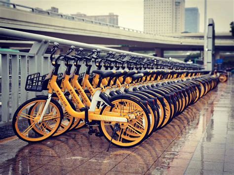 郑州有哪些共享单车图片