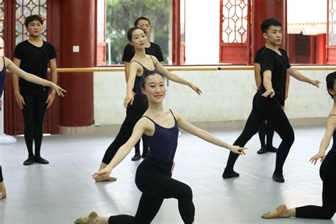 高校体育舞蹈课艺术表现力教学的现状与对策是什么？