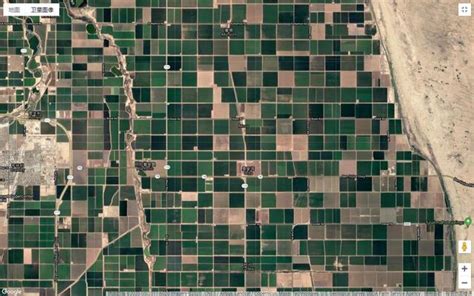 ...农在美国加州摩根山农业菇类种植场承包了2公顷，请了