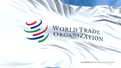 1.世界贸易组织（WTO）：世界贸易组织是一个负责处理国家之间贸易规则和争端的国