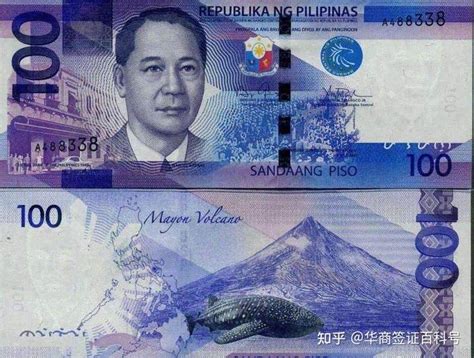 100人民币换成菲律宾比索，有多少？