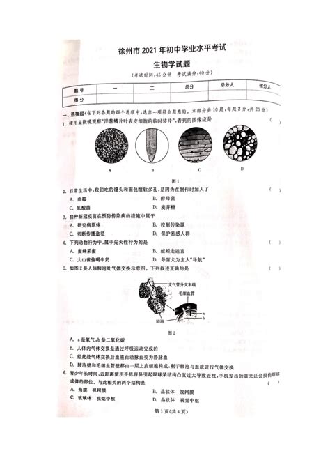 2011江苏省学业测试生物答案