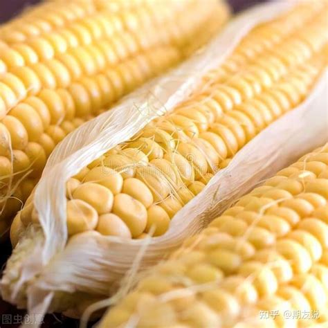 2016年玉米期货一手多少钱？