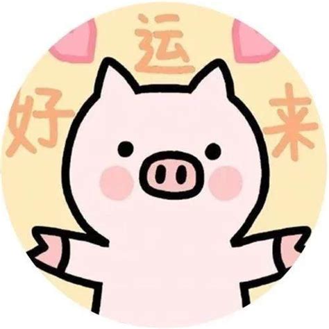 2019猪宝宝起乳名