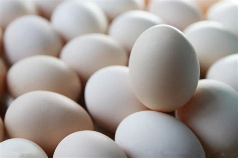 2109鸡蛋期货进入，9月散户还可以买吗？