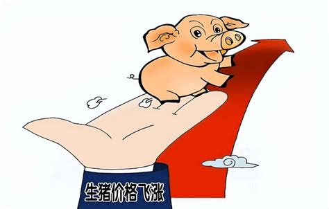 32olc_国家发改委回应猪价过快上涨
