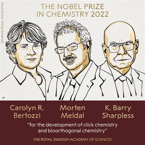 3位科学家获2022年诺贝尔化学奖